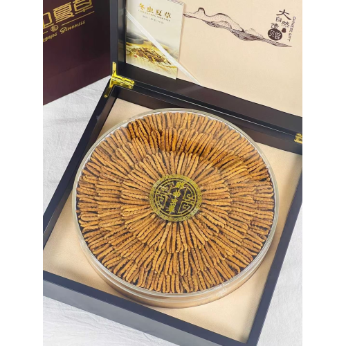 西藏那曲冬蟲夏草禮盒裝 250g 精選乾蟲草實心蟲體 西藏那曲冬蟲夏草禮盒裝 250g 精選乾蟲草實心蟲體